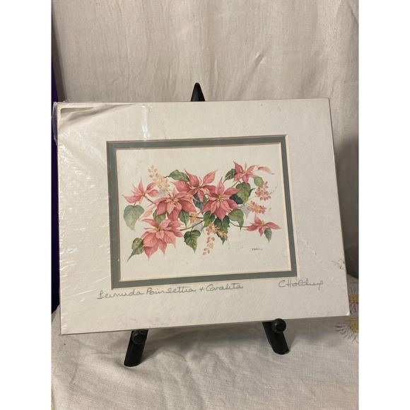 Signed Watercolor Print “Bermuda Poinsettia and Coralita” by Carole Holding - Picture 4 of 12